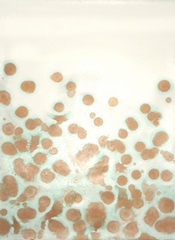 Printed Bronze Suspension Study I