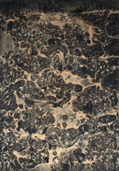 Printed Celestial Odyssey III