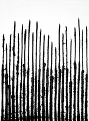 Printed Linear Effervescence III