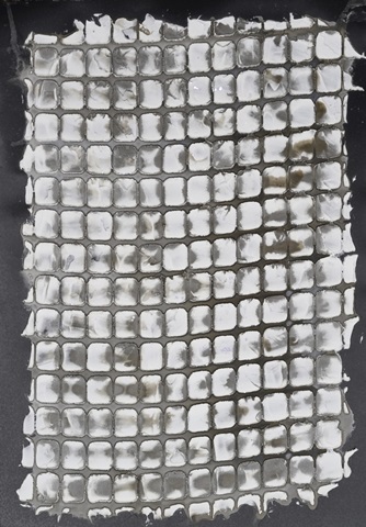 Printed Mercurial II