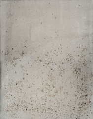 Printed Shimmering Neutral I