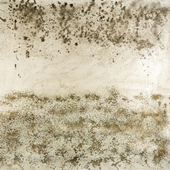 Printed Silent Mist II