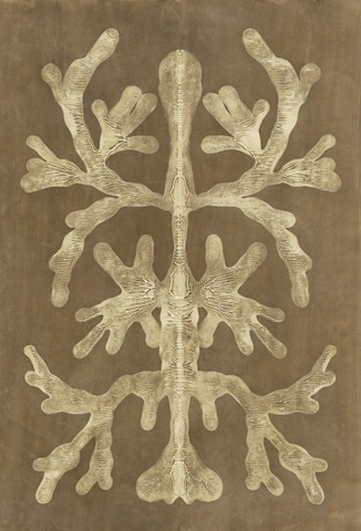 Printed Umber Curiosities II