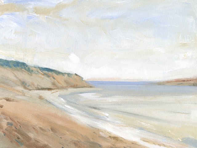 Shoreline Study I