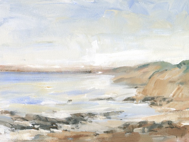 Shoreline Study II