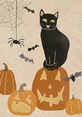 Pumpkin Patch Cats Collection B