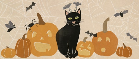 Pumpkin Patch Cats Collection D