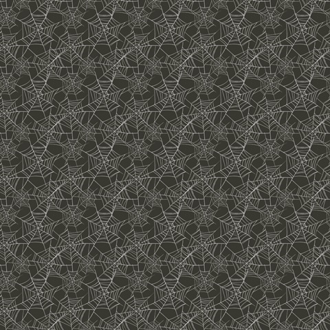 Pumpkin Patch Cats Collection I