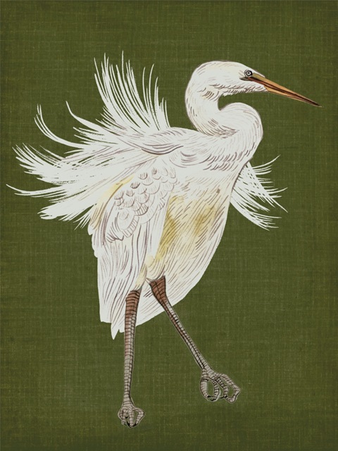 Heron Plumage I