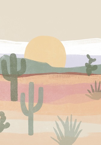 Cactus Plateau Collection B