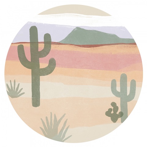 Cactus Plateau Collection C