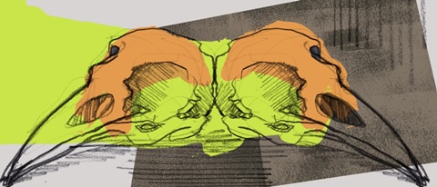 Mod Skull Collage Collection D