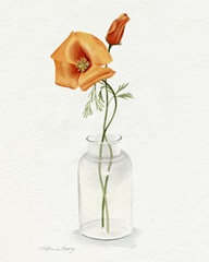 California Poppy Vase I