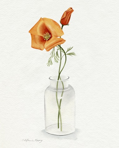California Poppy Vase I