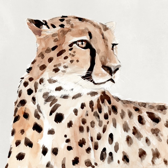 Saharan Cheetah I