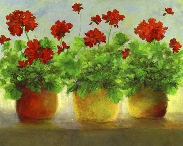 Geraniums III