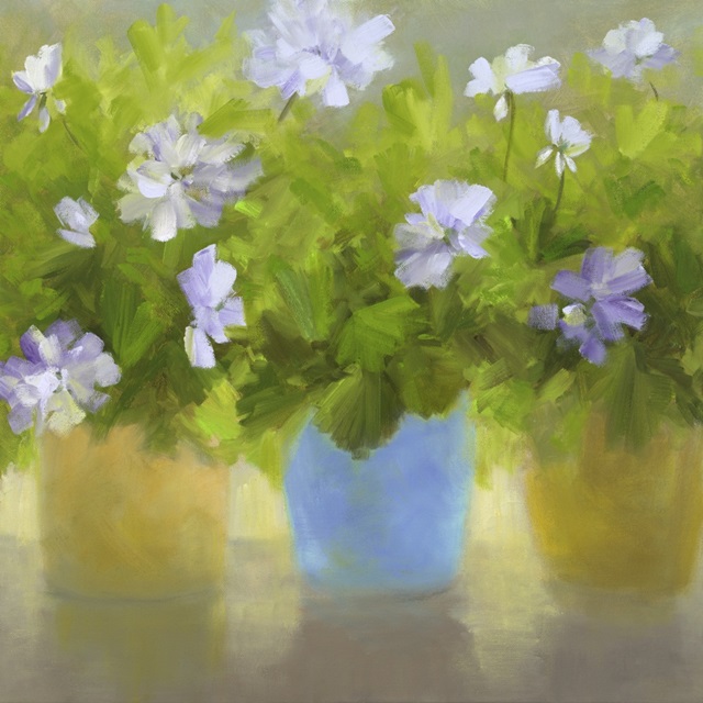 Geraniums IV