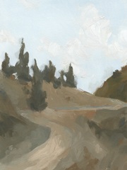 West Fork Hiking Trail IV