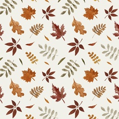 Autumn Pumpkin Collection H