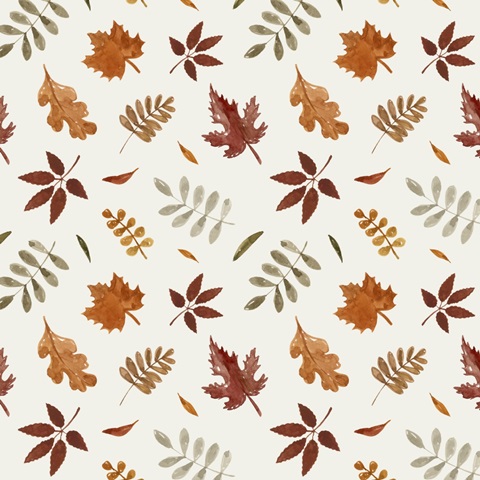 Autumn Pumpkin Collection H