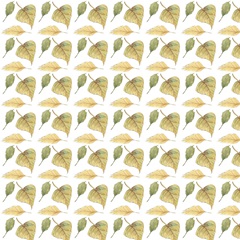 Happy Autumn Collection H