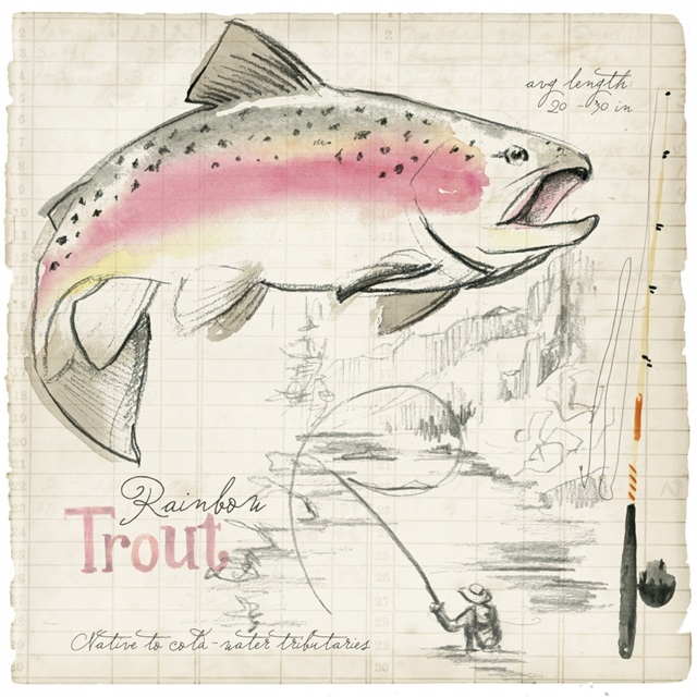 Trout Journal I