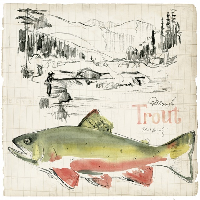 Trout Journal II