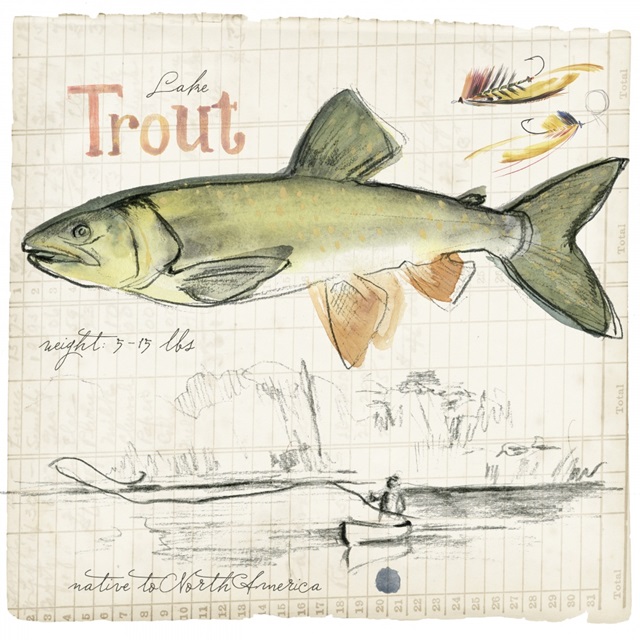 Trout Journal III