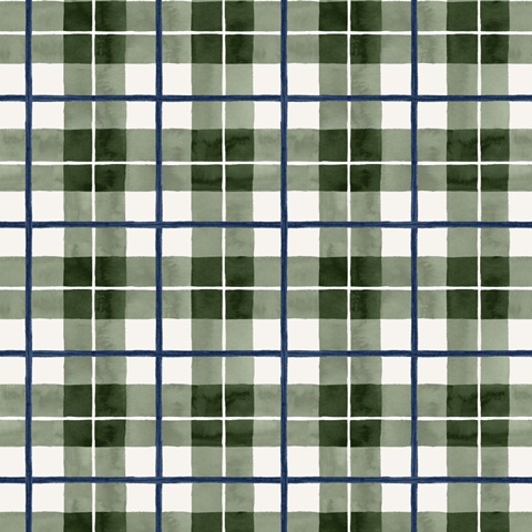 Juniper Wreath Collection G