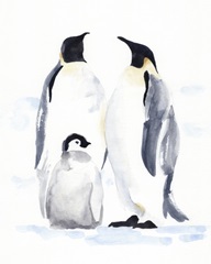 Emperor Penguins II