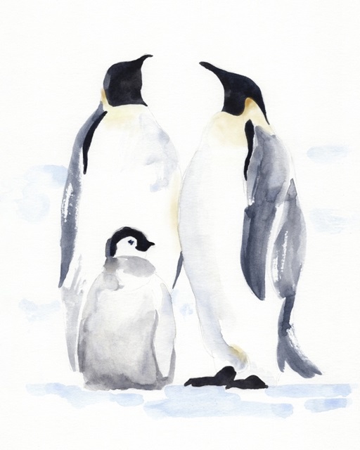 Emperor Penguins II