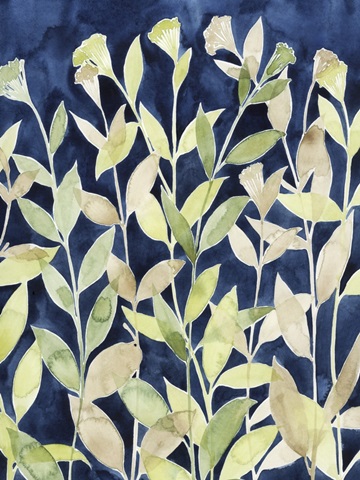 Indigo Blooming Night I