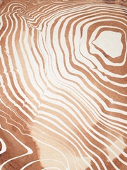 Wood Grain Suminagashi II