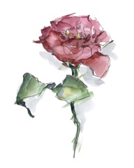 Watercolor Floral Contour I