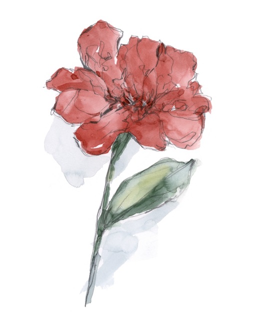 Watercolor Floral Contour IV