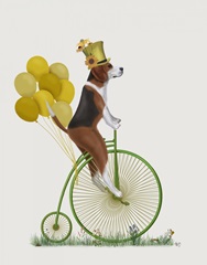 Beagle on Penny Farthing