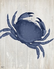 Blue Crab On Grey 1
