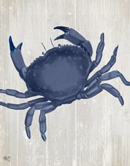 Blue Crab On Grey 2