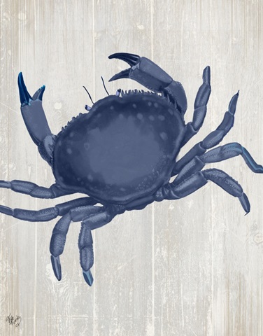 Blue Crab On Grey 2