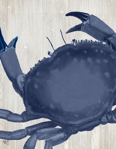 Blue Crab On Grey 4