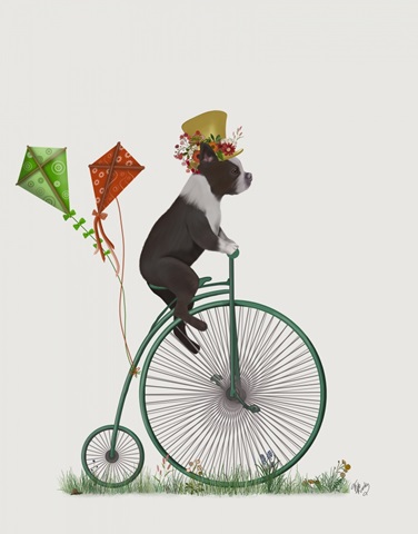 Boston Terrier on Penny Farthing
