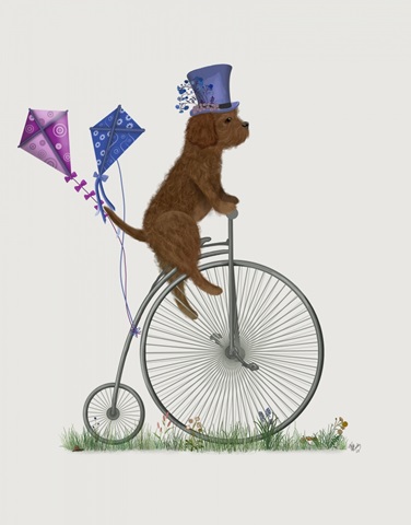Cavapoo Brown on Penny Farthing