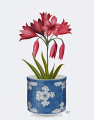 Chinoiserie Amaryllis Red, Blue Vase
