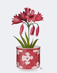Chinoiserie Amaryllis Red, Red Vase