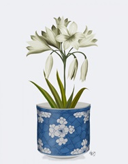 Chinoiserie Amaryllis White, Blue Vase