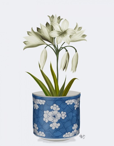 Chinoiserie Amaryllis White, Blue Vase