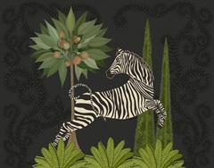 Animalia - Dancing Zebra