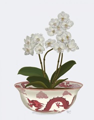 Chinoiserie Orchids White, Dragon Bowl Red