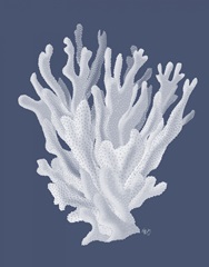 Coral 17 White on Indigo Blue