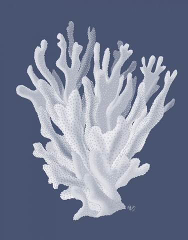 Coral 17 White on Indigo Blue